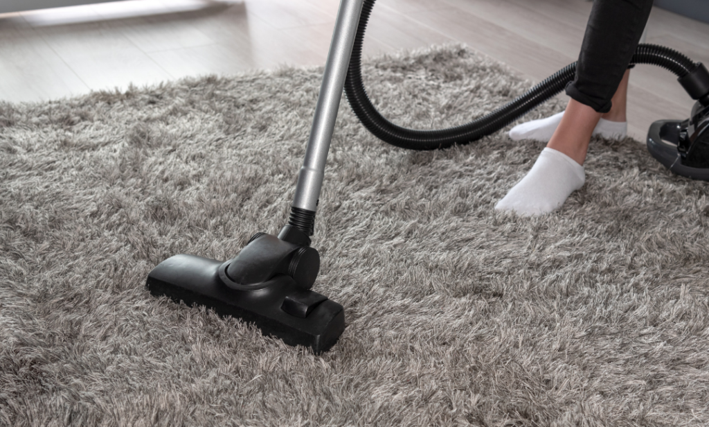 Professional Carpet Cleaning Services in Rochester