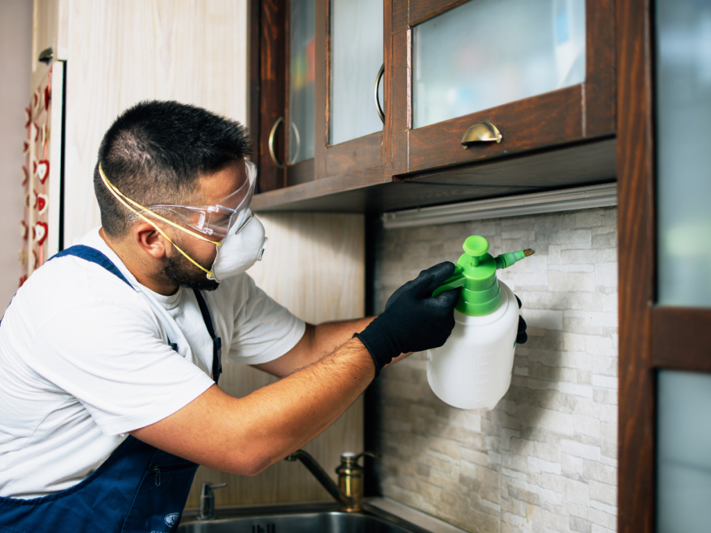 affordable pest control services