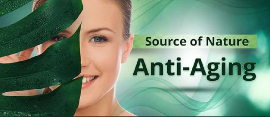 Können Resveratrol Anti-Aging-Ergänzungen helfen, Sie jung zu halten?
