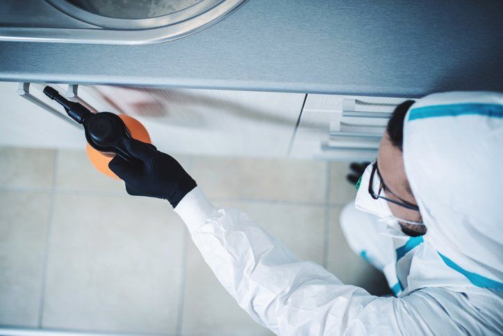 commercial pest control services
