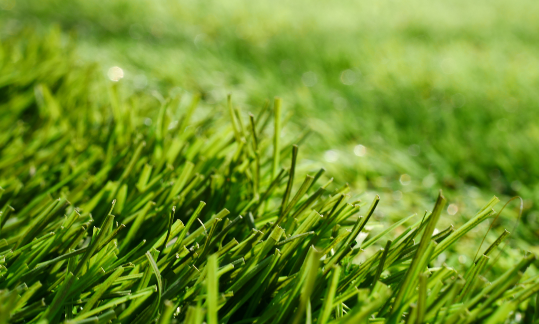 The Complete Comparison between Real and Artificial Grass