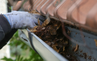 How Effective Gutter Protection Improves Drainage and Reduces Maintenance in Pottstown Homes
