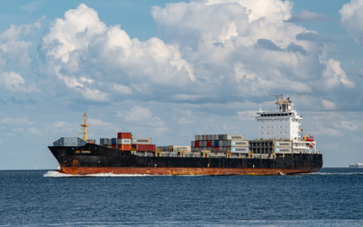 Top Reasons Businesses Rely on a Trusted Shipping Agency for Export-Import Success