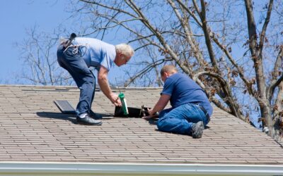 How Do You Know If Roof Damage Calls for Replacement or Repair?