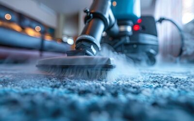 Everyday Dirt to Embedded Debris: Why Rugs Need Deep Cleaning