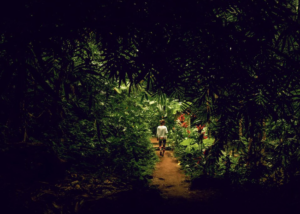 Best Night Tour in La Fortuna